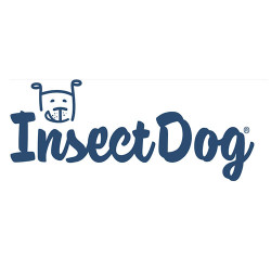 Insect Dog